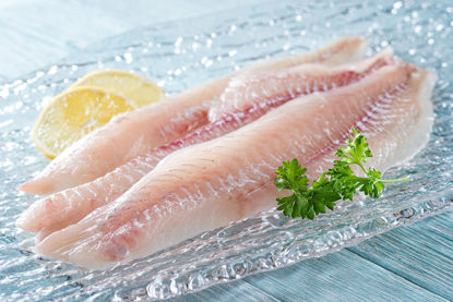 Picture of Northern Seas Variety Pack